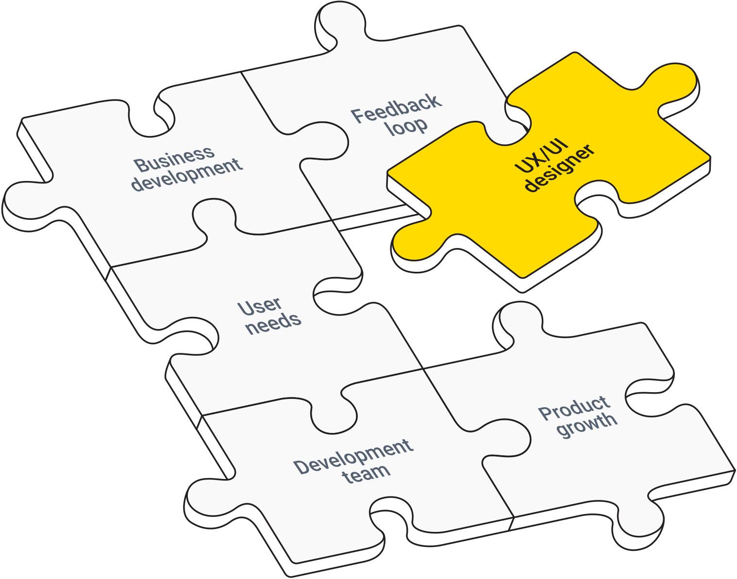 Professional Web Development Team
